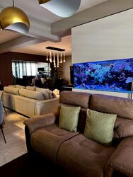 Blk 221 Pasir Ris Street 21 (Pasir Ris), HDB Executive #472681521